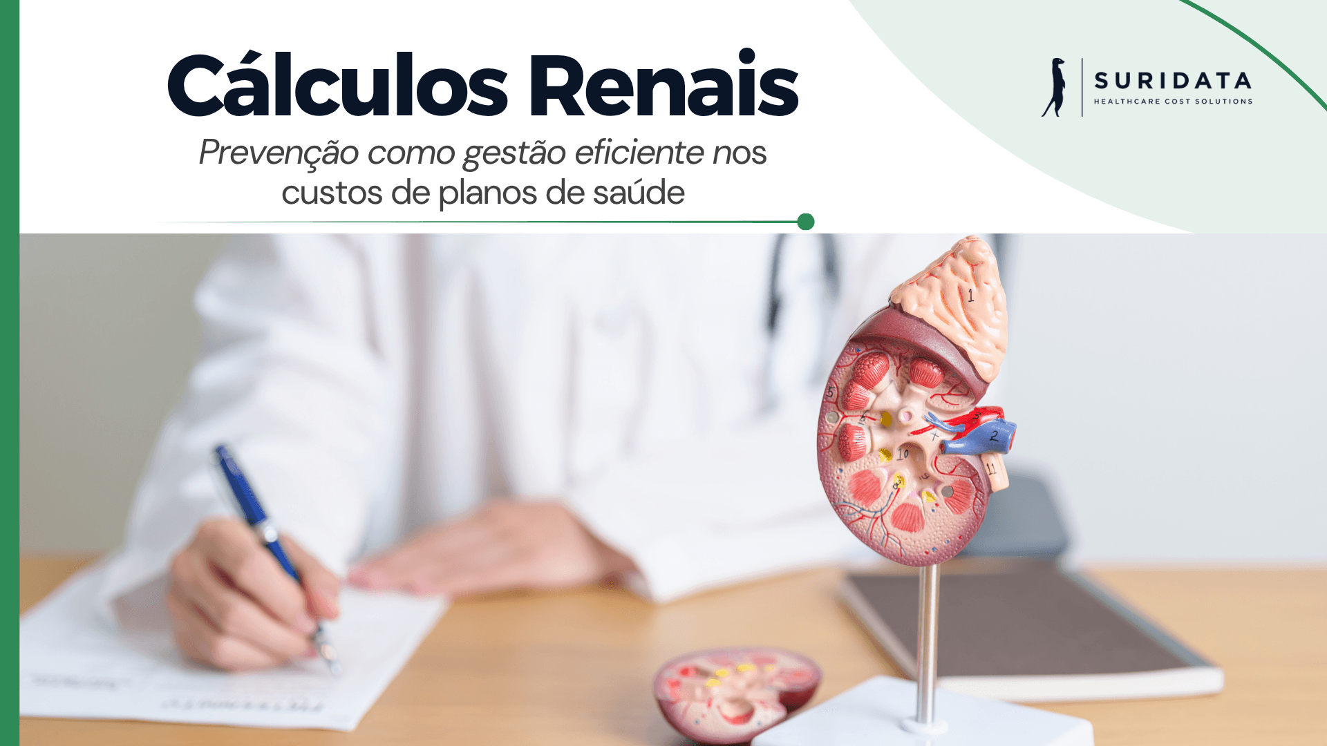 Cálculos Renais: prevenção como gestão eficiente nos custos de planos de saúde.