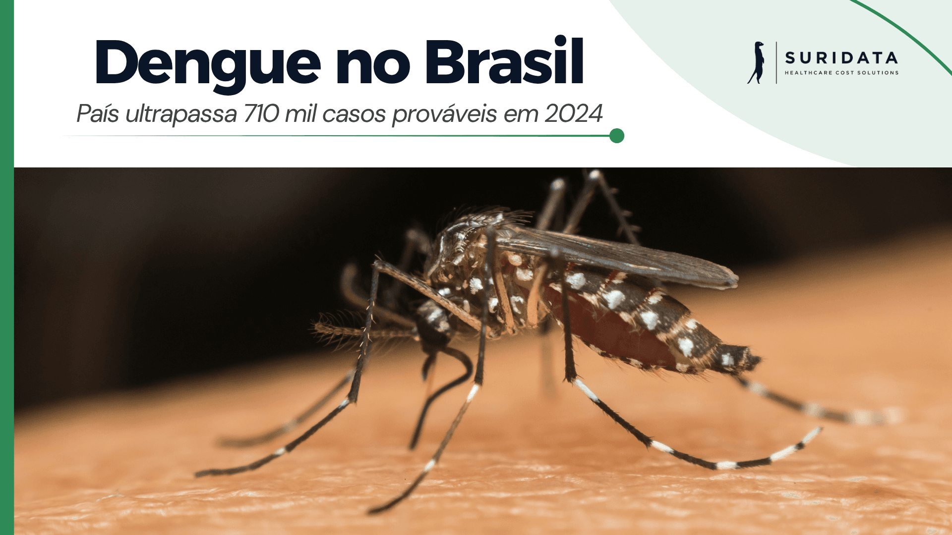 Dengue no Brasil: País ultrapassa 710 mil casos prováveis em 2024